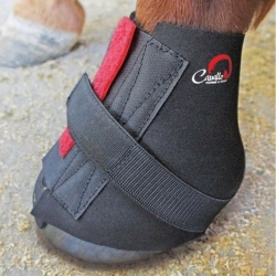 Cavallo Pastern Wraps (Pair)
